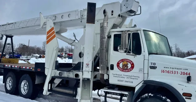 How Fast Response Prevents More Damage After Tree Failure in Grand Rapids, MI