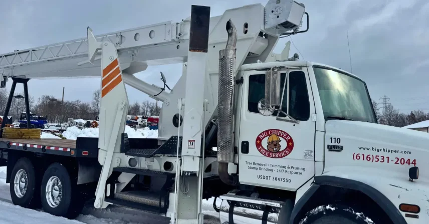 tree failure, storm-damaged trees, emergency tree care, tree damage prevention, Grand Rapids tree care, fallen trees, hung-up trees, storm damage, insurance tree damage, tree safety