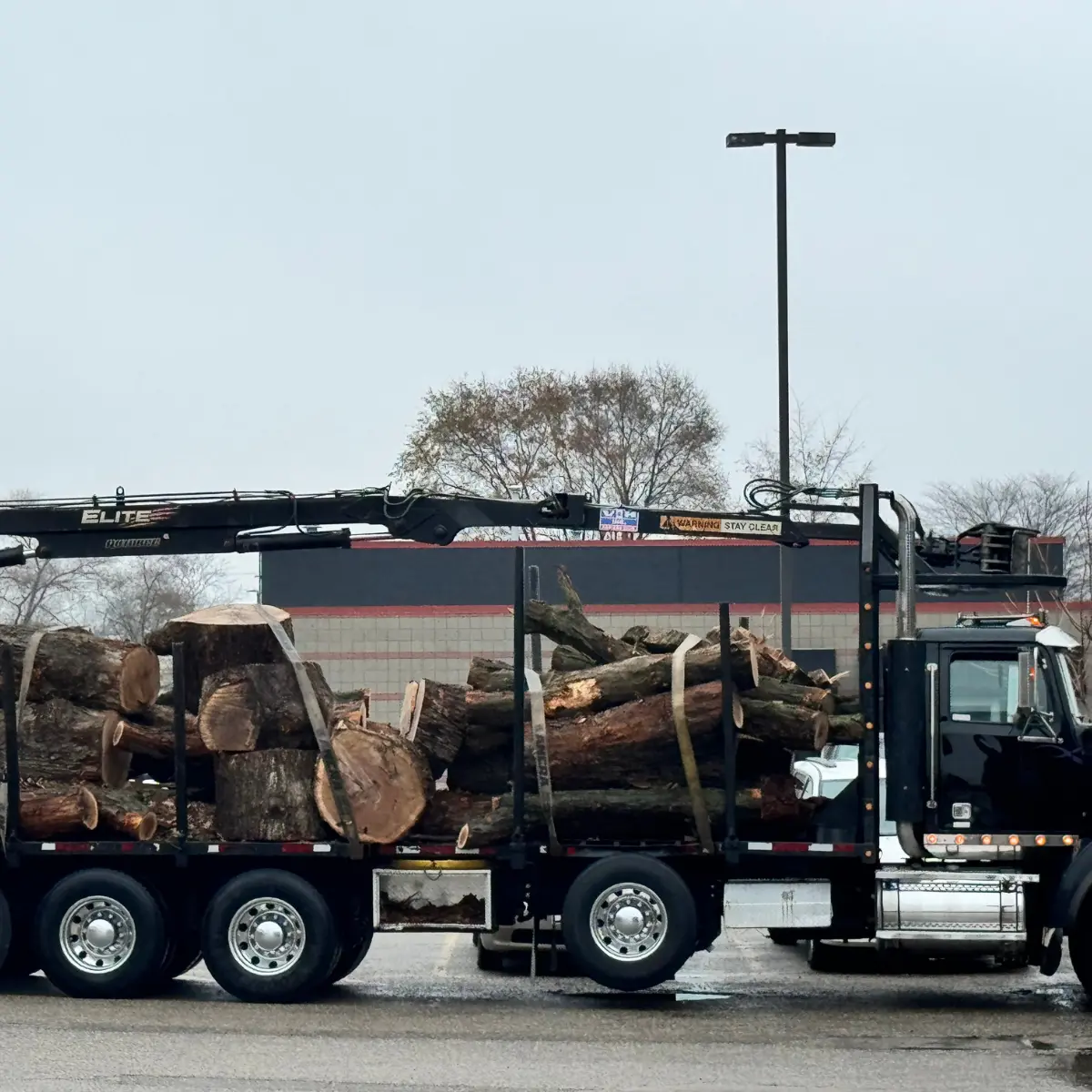 Tree service crane and bucket truck working on large tree removal in Grand Rapids, MI