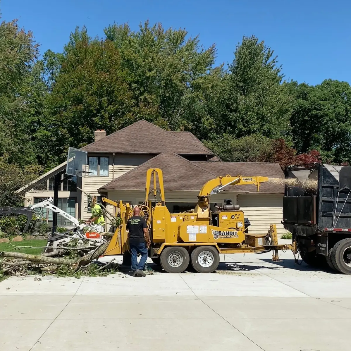 Emergency tree service in Holland, MI