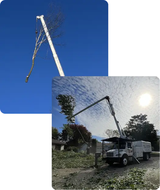 About Big Chipper Inc