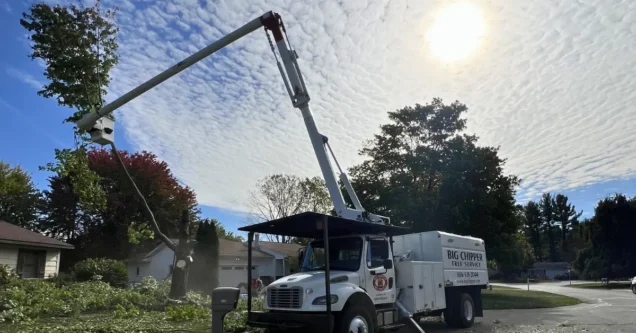 Tree Service Pricing and What Goes Into an Estimate
