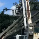 Emergency tree service in Grand Rapids after storm damage