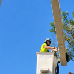 Big Chipper Tree Service crew performing professional tree removal in Holland, MI